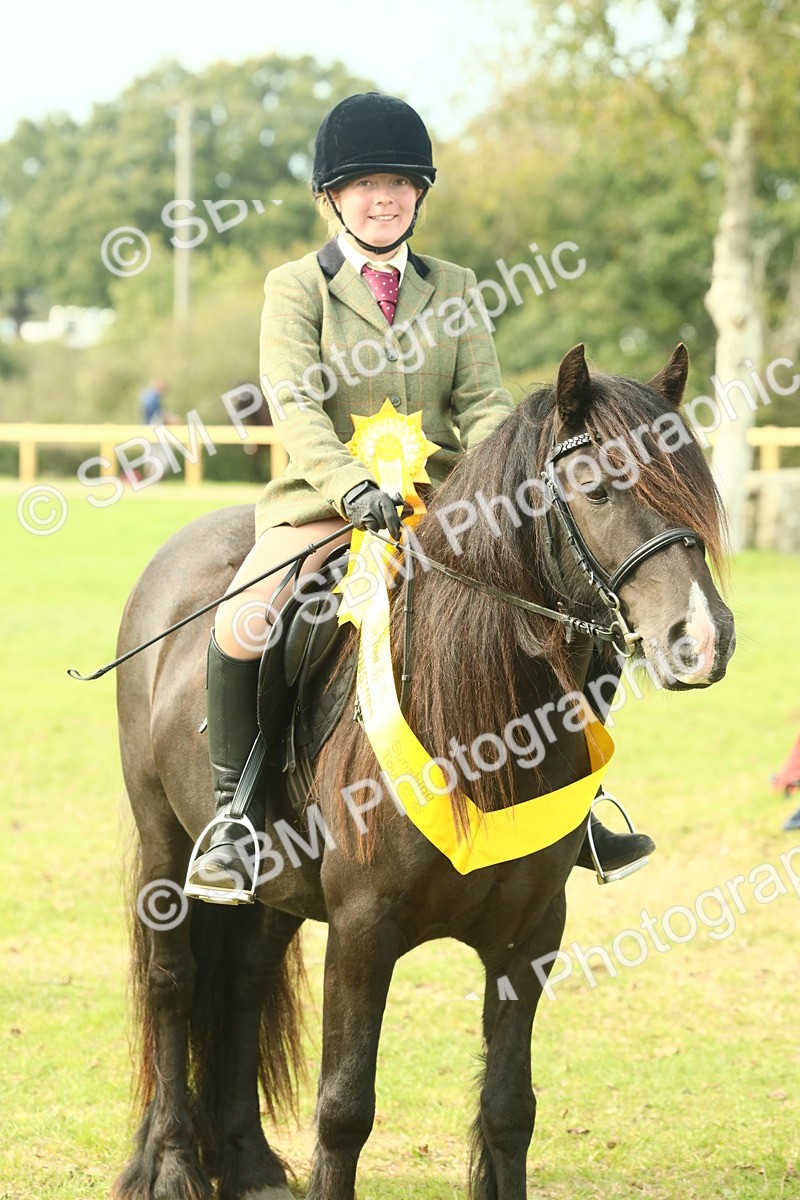 SBM_69410 - S58 - Mini Show Cob Ridden