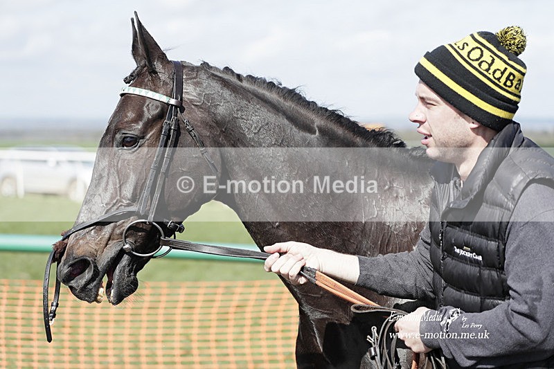 PtP 100423 679 - Old Berkshire Point-to-Point Lockinge 10/04/23