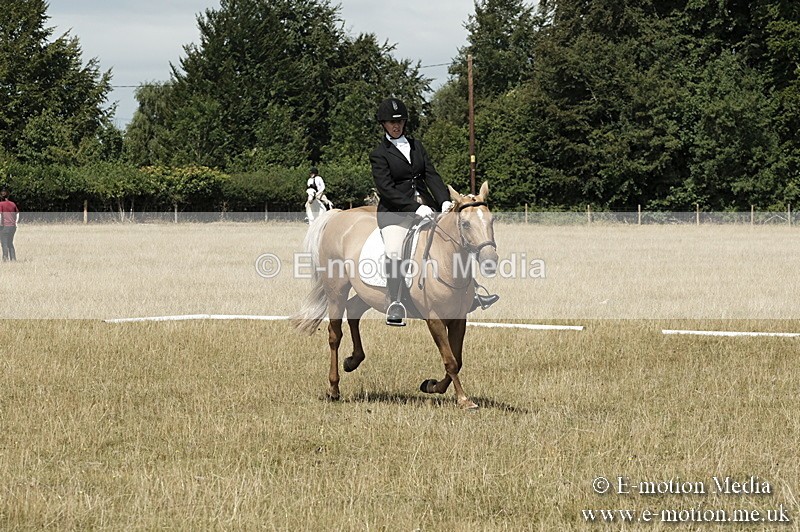 _PJP5810 - Dressage Classes BVRC Show 2018