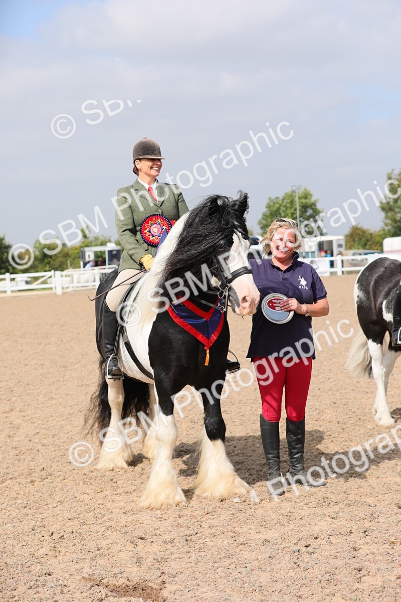 SBM_12844 - Class 307 Ridden Coloured Pony