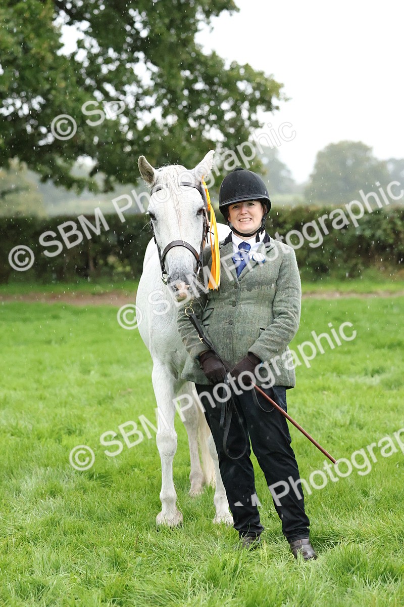 SBM_35372 - S10 - Best In Hand Horse & Pony