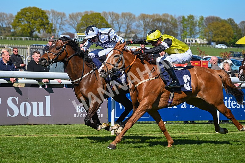 230426-Race 4-A War Eagle-4588 - Race 4