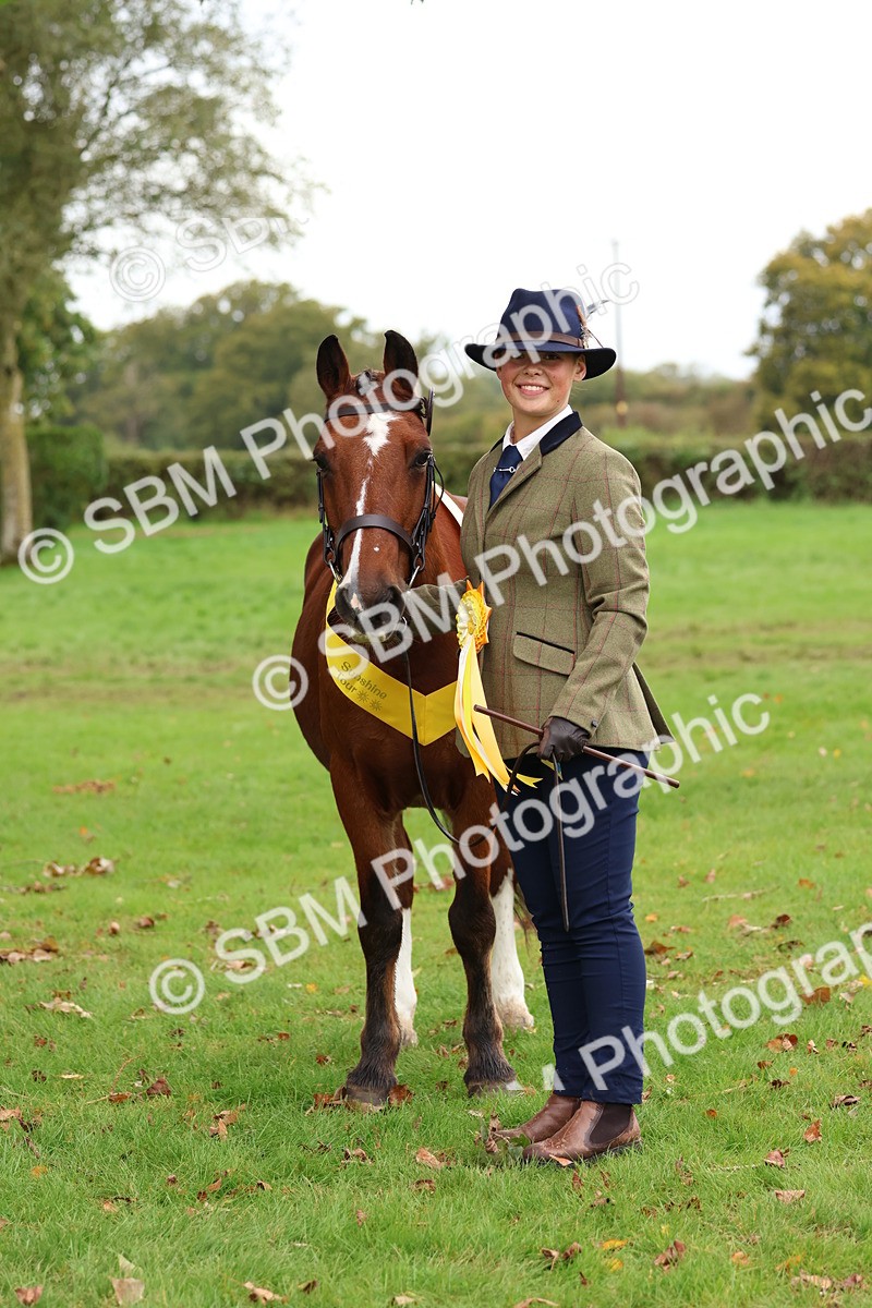 SBM_41750 - S26 - Mature Veteran In Hand