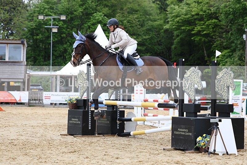 3E7A6128 - Class 4: Senior British Novice/90cm open