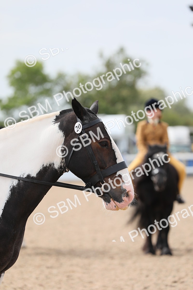SBM_16967 - Class 314 Family Horse/Pony