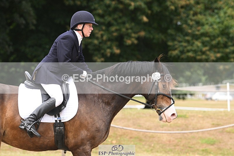 250720A-120204-10140 - 079-Amanda.Williams-Llanarth.Westminster