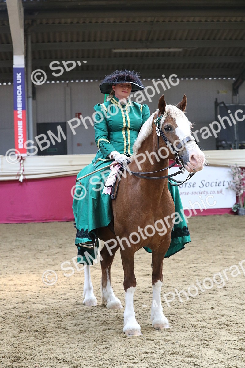 SBM_12201 - Class 107 Ridden Costume- Astride Adult (20+)