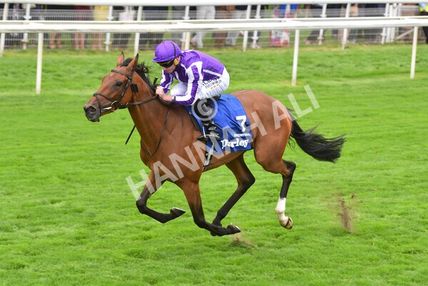 yr19082021r4-51 - Race 4 3.35pm Darley Yorkshire Oaks (British Champions Series race)