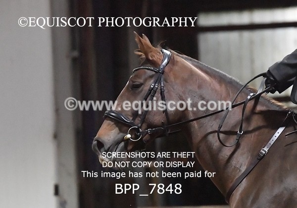 BPP_7848 - INTRO TEST 2