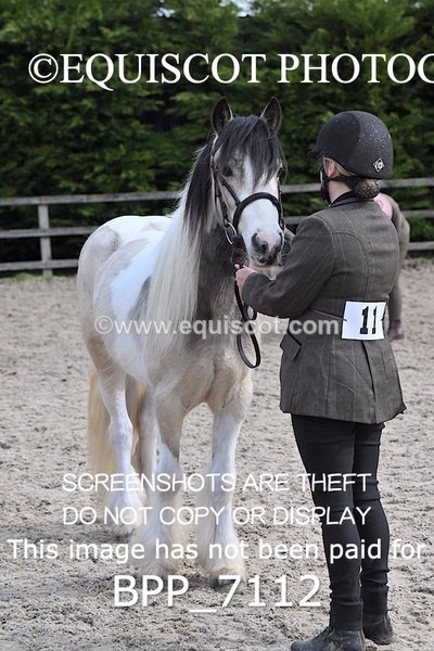 BPP_7112 - RING 1  (RIDDEN HORSES / IN HAND / VETERAN ETC)