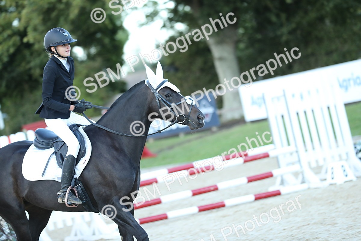SBM_53667 - Supreme Championship 65cm 70cm