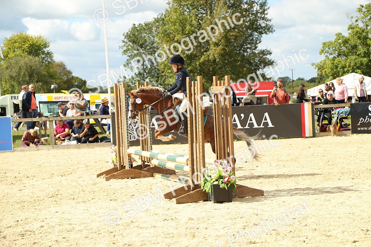 SBM_41378 - J6 - Junior Pony 55cm Championships