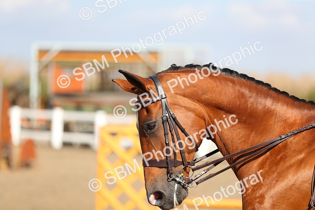 SBM_02275 - Class 43 Ridden Competition Horse/Pony