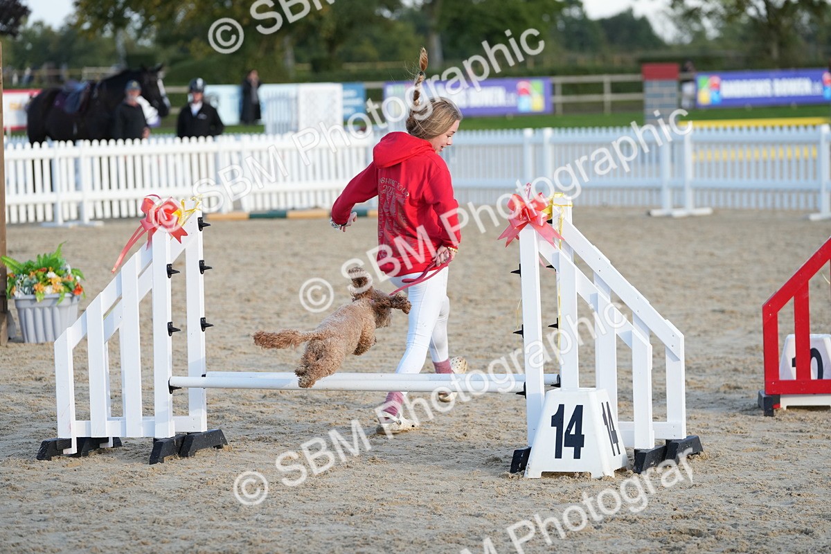 SBM_29495 - J44 - Horse & Hound Open 70cm