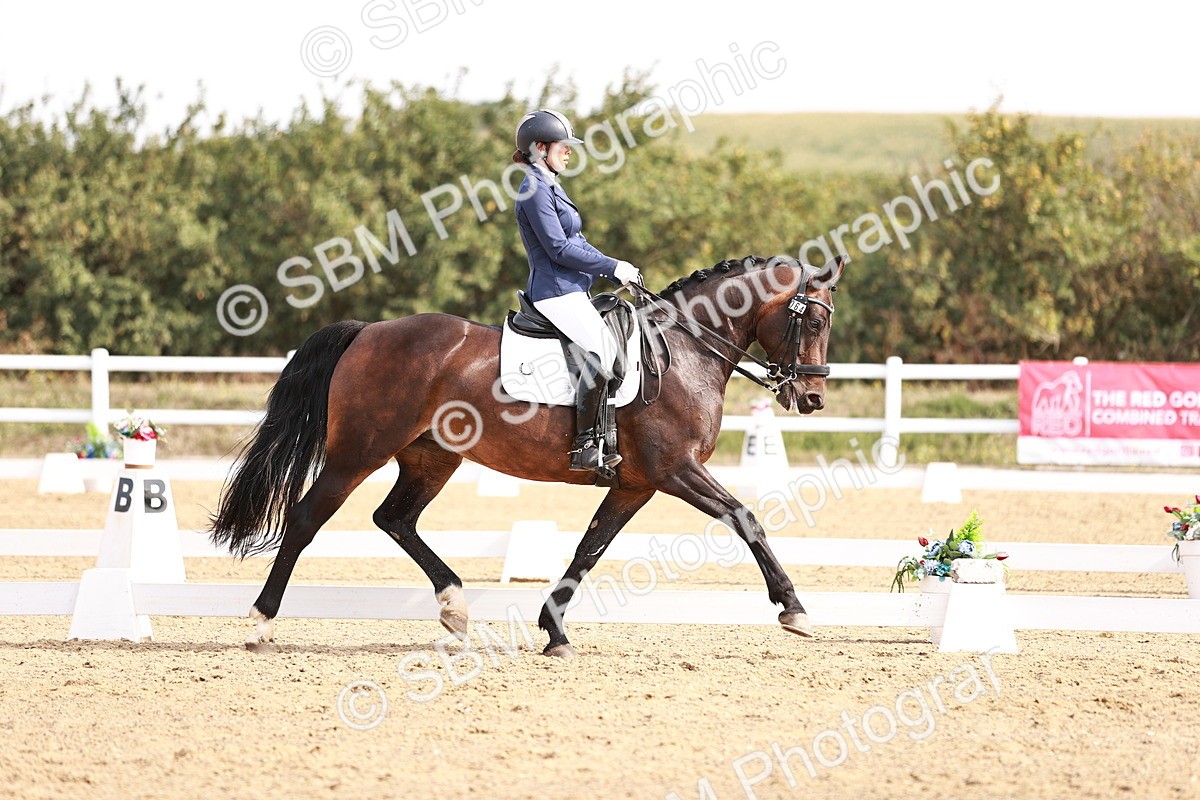 SBM_017565 - Class 11 - Advanced Medium 6