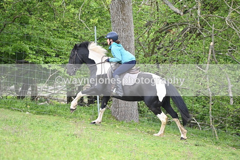 WJ6_3078 - A Camera