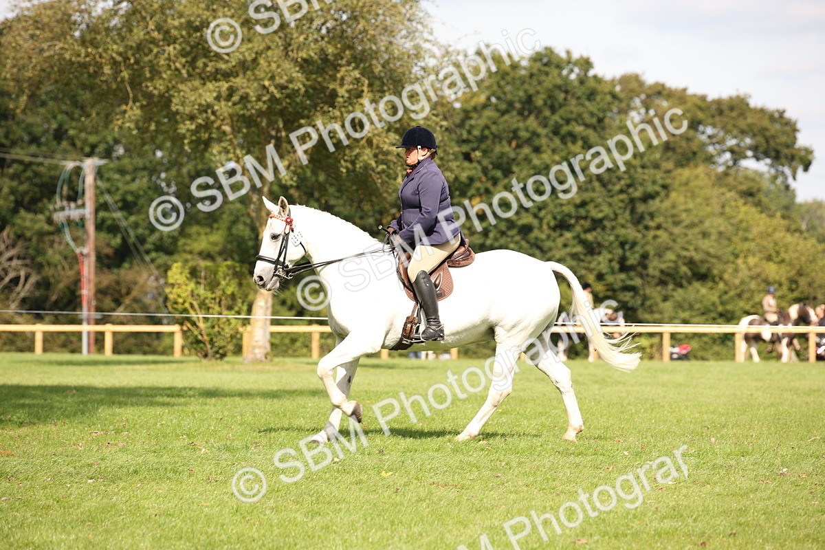 SBM_65939 - S64 - Riding Horse & Hack & Thoroughbred Ridden