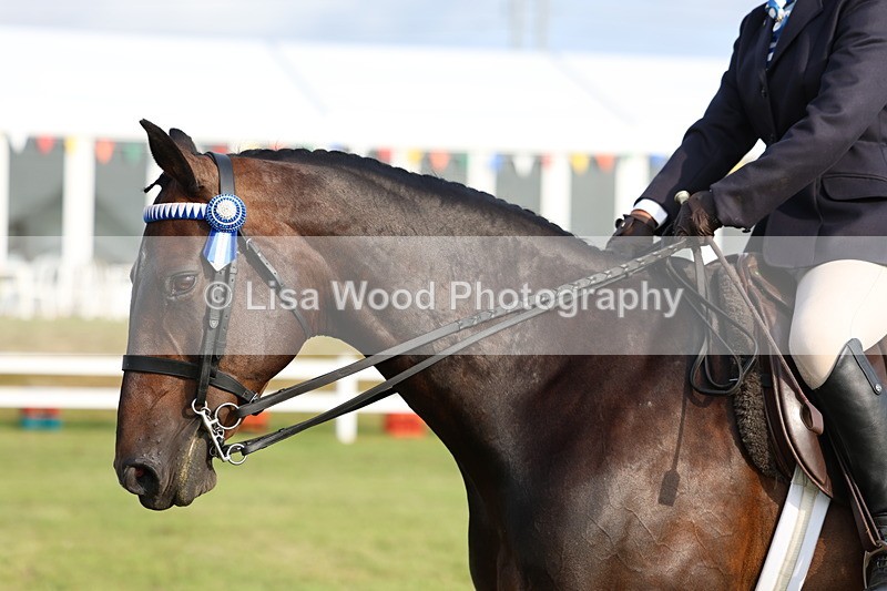 3E7A7770 - Class 1: Rising Star Small Hack/Riding Horses