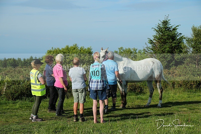 DSPX2118 - Friday vetting