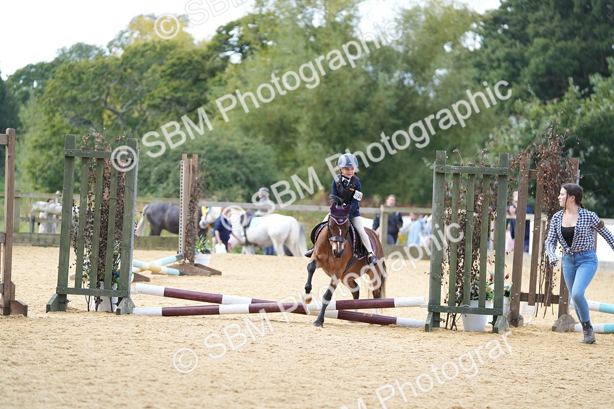 SBM_64455 - J2 - Mini Tour Junior Pony 30cm Championship