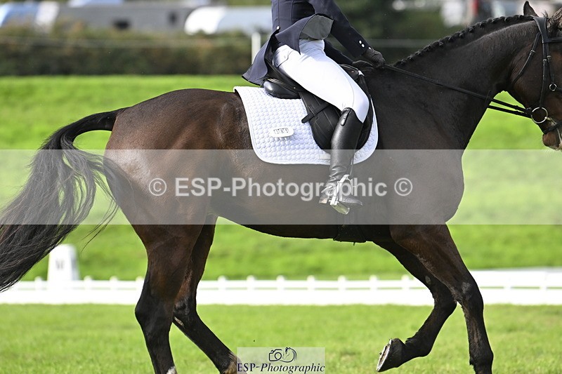 251023A-150313-04489 - E-385-Delilah.Wood