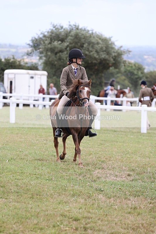 JPP_1700 - Class 18: Tiny Tots Working Hunter Pony