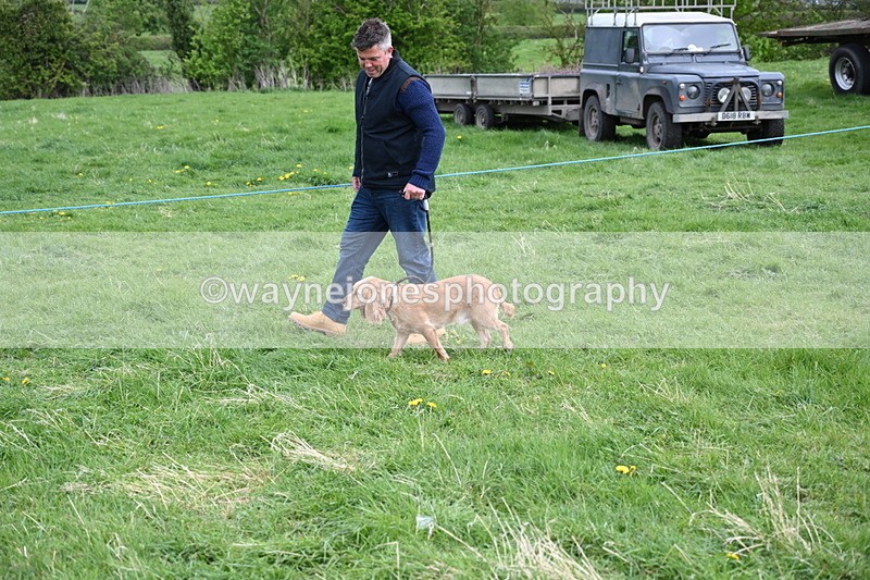 WJ6_8115 - Class 2 Best Pedigree