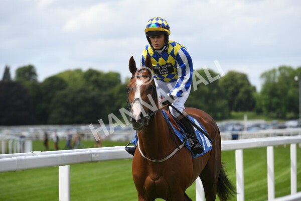 yr11062022r2-5 - Race 2 2.00pm Queen Mother's Cup