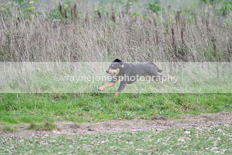 WJ7_2564 - Camera A