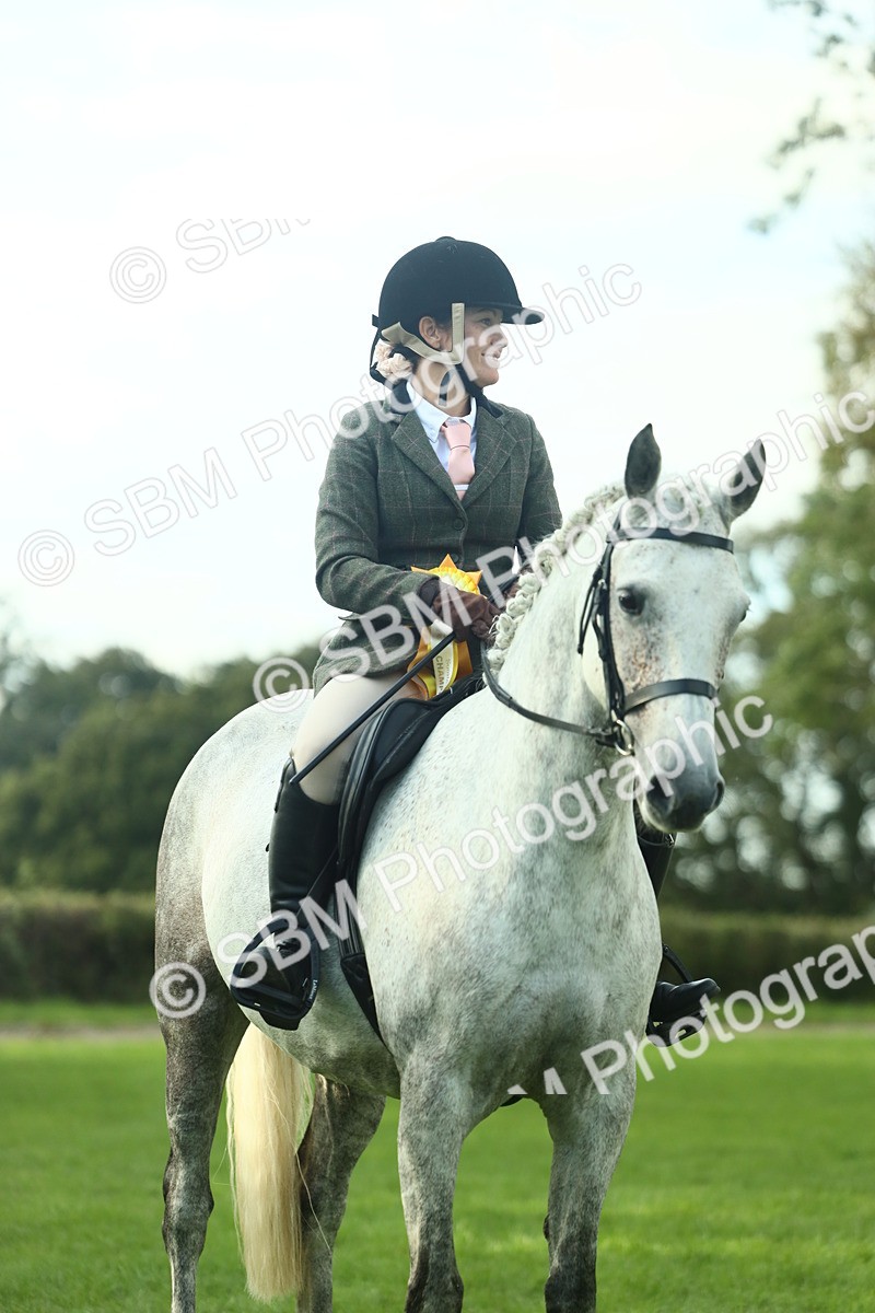 SBM_52233 - S33 - Working Hunter & Working Show Horse