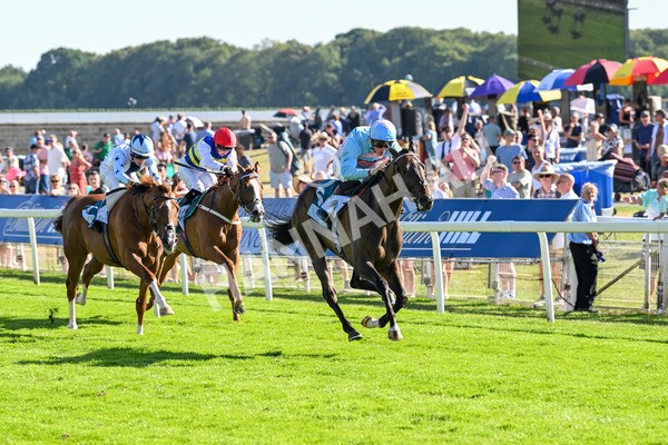 110725-Race 7-Secret Beach-4695 - Race 7 5.40pm William Hill Bet In Running Apprentice Handicap