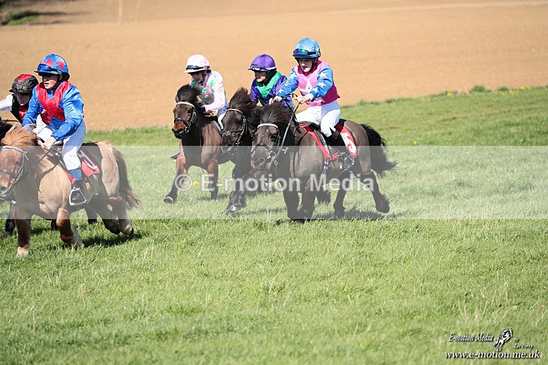 Shet 060426 282 - Shetland Pony Racing Paxford Races Easter Mon 06/04/26
