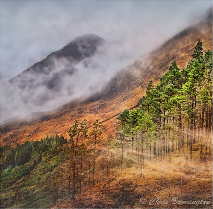 Misty Glen Shiel - Landscapes - Colour