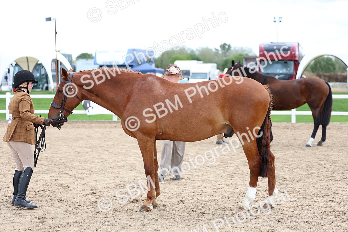 SBM_05070 - Class 27 - IH Competition Horse or Pony