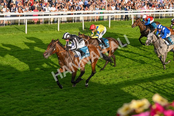 260724-Race 5-Verbier-5403 - Race 5 7.50pm British EBF Lyric Fillies' Stakes