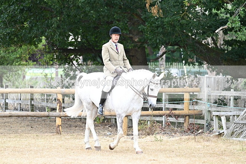 WJ7_0733 - Class 7 Riding Club Show Horse
