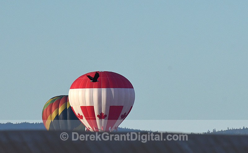 Atlantic International Balloon Festival Sussex New Brunswick Canada - Atlantic International Balloon Fiesta