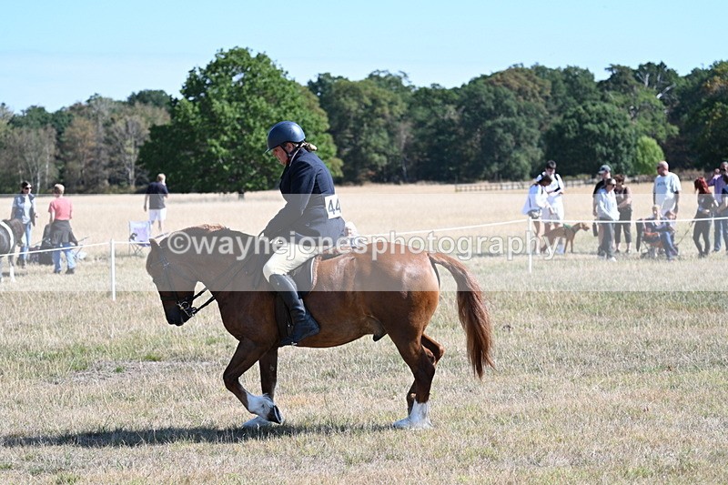 WJ7_3877 - Class 9 Mountain & Moorland Ridden