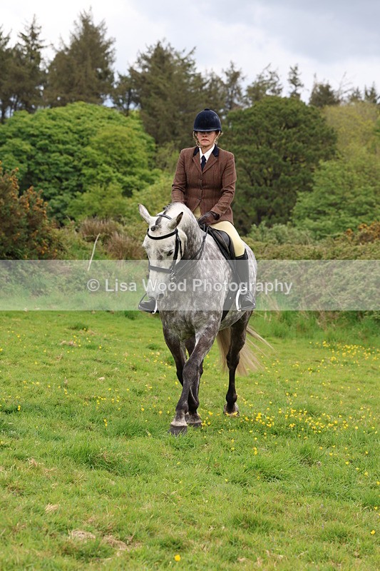 3E7A1787 - Class 9: Riding Club Horse/Pony