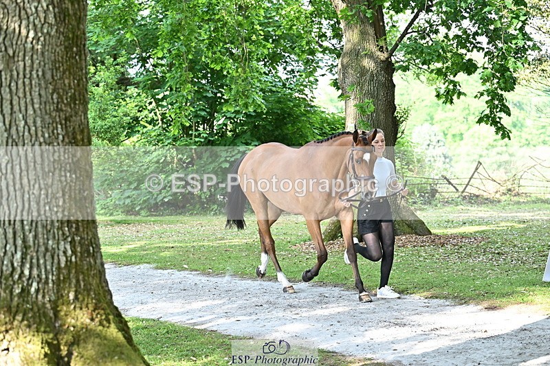 250521A-164440-01305 - C-234-Cosby.Green-ILLICO.DE.LESQUES.AA