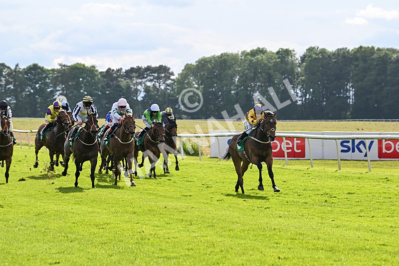 160624-Race 5-American Affair-8950 - Race 5