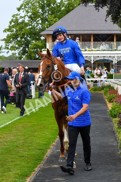 170623-Race 2-Wild Lion-0386 - Race 2 2.35pm Sky Bet Handicap