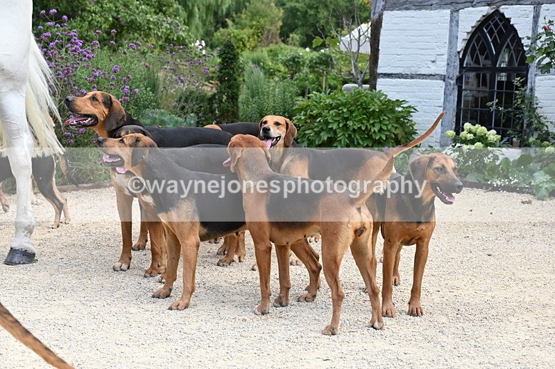 WJ6_3837 - Berks & Bucks - The Old farmhouse - Hound Exercise 20-08-25