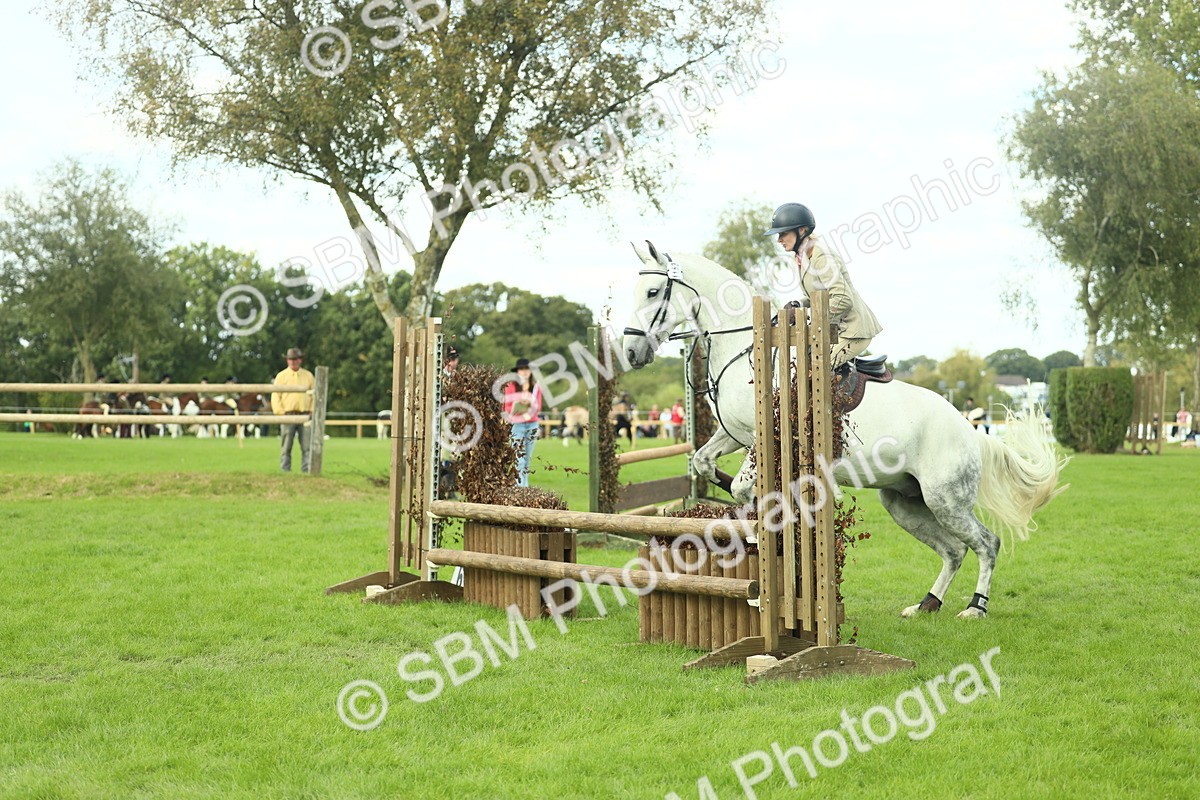 SBM_47987 - S32 - Novice & Newcomers Working Hunter