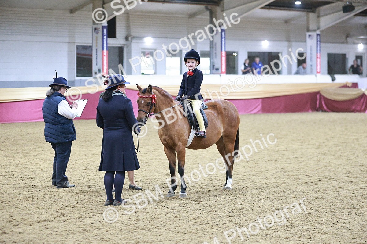 SBM_08069 - Class 11R - Regional Ridden Veteran