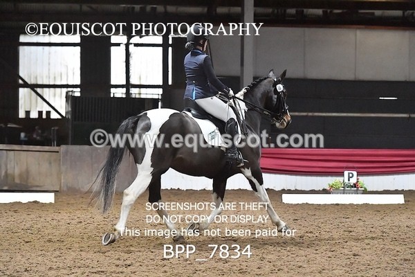 BPP_7834 - ELEM TEST 6