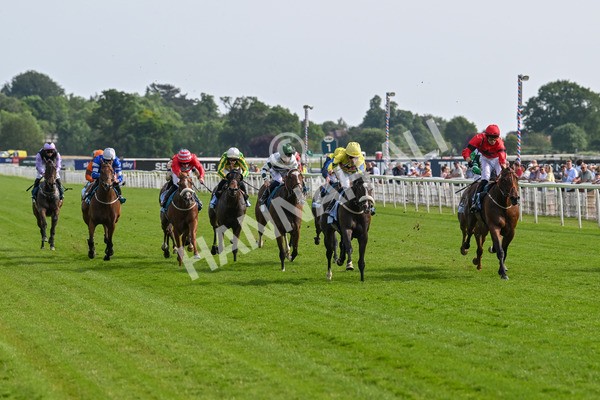 130625-Race 6-Forager-9910 - Race 6 4.45pm Constant Security Services Handicap