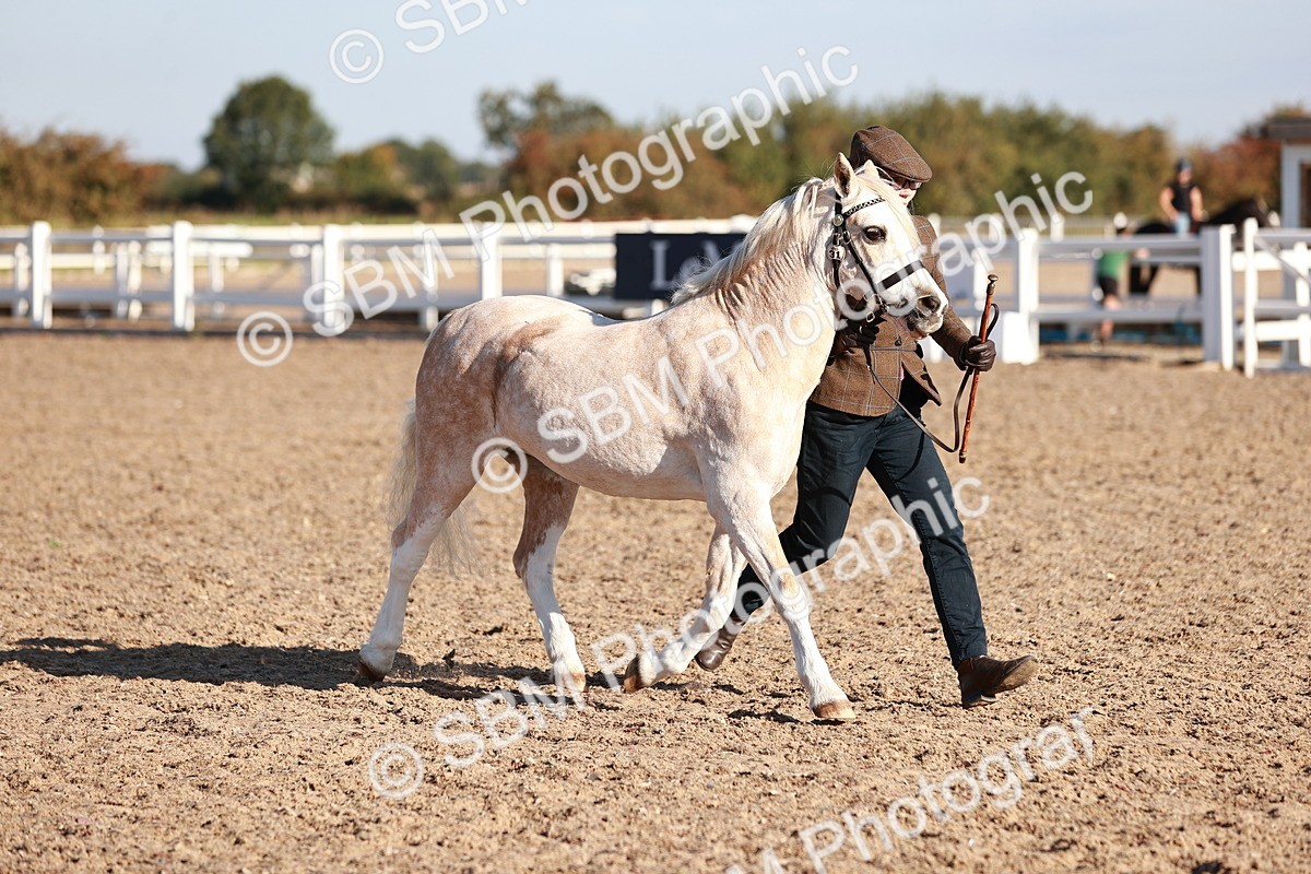 SBM_11415 - Class 402 - IH  Veteran pony