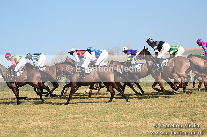 PtP 230219 75 - Vine & Craven Point-To-Point - Barbury 23/02/19