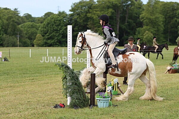 IMG_2442 - Working Hunter